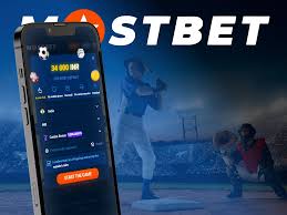 Mostbet Application Download And Install