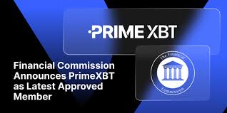 Comprehensive PrimeXBT Reviews The Ultimate Trading Platform